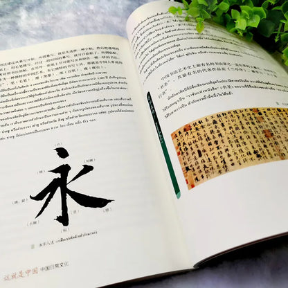 This is China Thai annotations